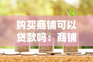 購(gòu)買(mǎi)商鋪可以貸款嗎：商鋪投資能否貸款