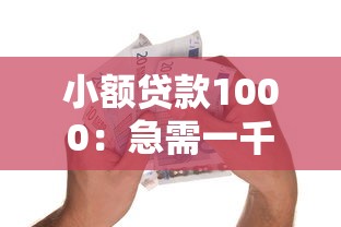 小額貸款1000：急需一千元哪里能快速借款