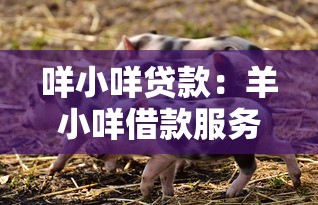 咩小咩貸款：羊小咩借款服務(wù)靠譜嗎