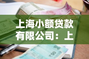 上海小額貸款有限公司：上海小貸公司如何申請貸款服務(wù)