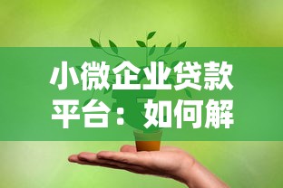 小微企業貸款平臺：如何解決小微企業融資難題