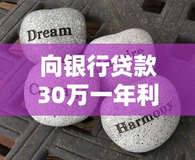 向銀行貸款30萬一年利息是多少：30萬貸款年利息最低和最高多少