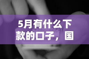 5月有什么下款的口子，國內五大2025最新貸款平臺排行榜