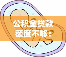公積金貸款額度不夠：公積金貸款額度不足如何解決