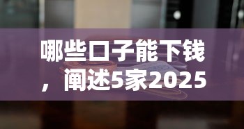 哪些口子能下錢，闡述5家2025最新2025高炮借款平臺黑口子鏈接