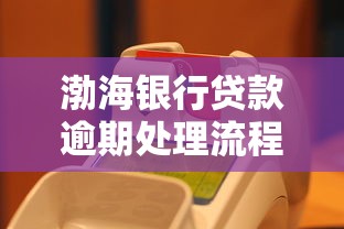渤海銀行貸款逾期處理流程是什么，闡述5家2025最新網(wǎng)貸平臺容易下款