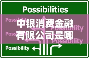 中銀消費金融有限公司是哪個網貸，解答五家2025最新哪些網貸平臺正規