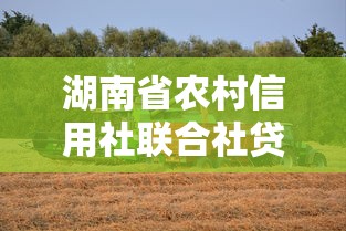 湖南省農村信用社聯合社貸款，介紹五個2025最新2025專門給花戶放款的平臺
