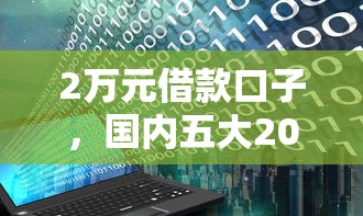 2萬元借款口子，國內(nèi)五大2025最新網(wǎng)上正規(guī)借錢平臺