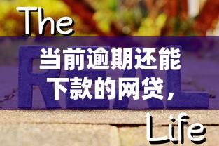 洋錢罐貸款平臺怎么樣，同城五個2025最新良心貸款平臺