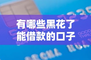 有哪些黑花了能借款的口子，整合5個(gè)2025最新有信用卡就能貸款的平臺(tái)