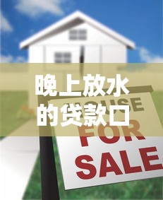 晚上放水的貸款口子，國內五大2025最新2025年新平臺黑戶也能下款這種