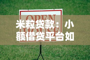 米粒貸款：小額借貸平臺如何選擇更靠譜