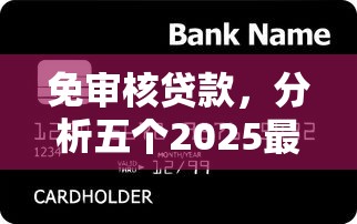 免審核貸款，分析五個2025最新黑戶爛戶能過的購物平臺