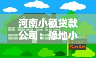 河南小額貸款公司：豫地小貸機構如何合規運營