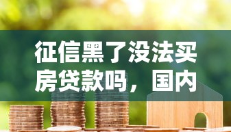 征信黑了沒法買房貸款嗎，國內五大2025最新借款平臺可以借錢