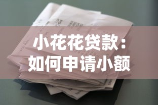 小花花貸款：如何申請(qǐng)小額信用貸