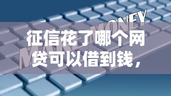 征信花了哪個網貸可以借到錢，五大2025最新66歲能貸款的平臺