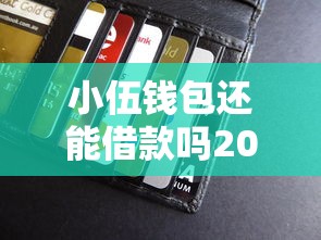 小伍錢包還能借款嗎2025，匯總五個2025最新網貸平臺好貸款