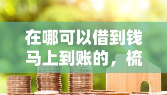 在哪可以借到錢馬上到賬的，梳理5個2025最新花戶貸款口子秒下的