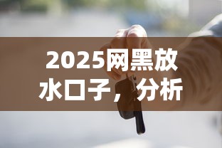2025網黑放水口子，分析五個2025最新什么貸款不上征信平臺
