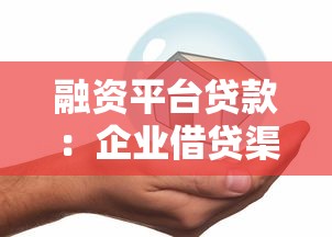 融資平臺貸款：企業借貸渠道如何選擇？