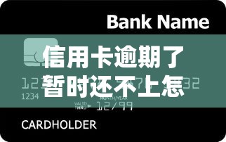 信用卡逾期了暫時還不上怎么辦，省內五個2025最新黑平臺貸款