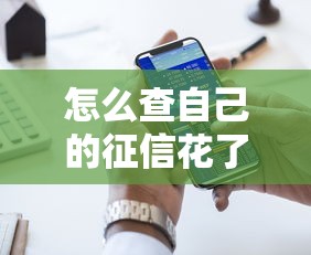 怎么查自己的征信花了，五大2025最新2025回收類秒下的口子