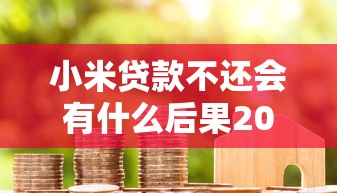小米貸款不還會有什么后果2025，國內五大2025最新黑戶呆賬逾期能下的口子