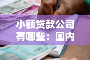 小額貸款公司有哪些：國(guó)內(nèi)常見(jiàn)小額貸款機(jī)構(gòu)類(lèi)型