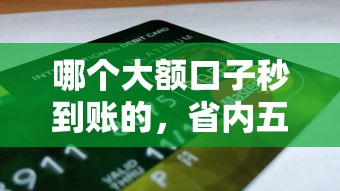 哪個大額口子秒到賬的，省內五個2025最新純信用貸款平臺