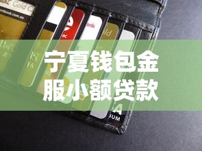 寧夏錢包金服小額貸款有限公司：寧夏錢包金服貸款服務如何申請