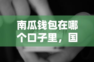 南瓜錢包在哪個(gè)口子里，國內(nèi)五大2025最新最好貸款的平臺(tái)