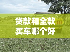 貸款和全款買車哪個好：購車選擇：分期付款還是一次付清更劃算
