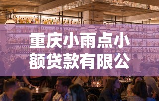 重慶小雨點小額貸款有限公司：這家貸款公司服務如何