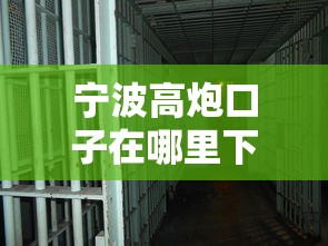 寧波高炮口子在哪里下載，國內五大2025最新最容易通過的網貸平臺