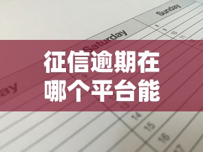 征信逾期在哪個平臺能貸到款，省內五個2025最新61歲能申請那些網貸平臺