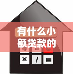 有什么小額貸款的：哪些平臺提供小額借款服務