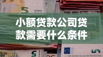 小額貸款公司貸款需要什么條件：申請小額貸款需滿足哪些資質