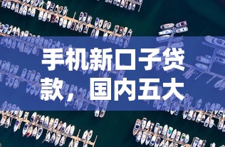 手機(jī)新口子貸款，國內(nèi)五大2025最新不查征信的網(wǎng)絡(luò)貸款平臺