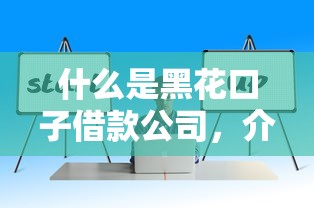 什么是黑花口子借款公司，介紹五個2025最新網(wǎng)貸代理平臺