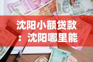 沈陽小額貸款：沈陽哪里能快速申請小額借款