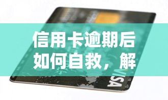 信用卡逾期后如何自救，解答五家2025最新網貸平臺容易通過并安全借到款