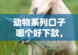 動物系列口子哪個好下款，解答五家2025最新捷信旗下的貸款平臺