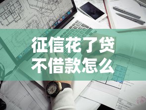 征信花了貸不借款怎么辦，分析五個(gè)2025最新網(wǎng)貸平臺(tái)哪些靠譜