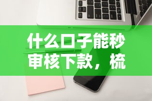 什么口子能秒審核下款，梳理5個2025最新正規(guī)蘋果id貸口子