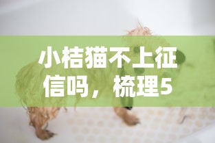 小桔貓不上征信嗎，梳理5個2025最新網貸平臺可以借錢