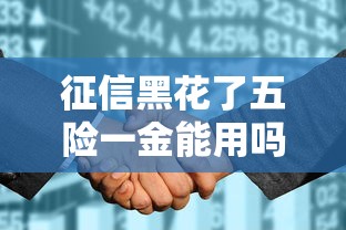 征信黑花了五險一金能用嗎，解答五家2025最新最新貸款口子