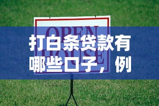 打白條貸款有哪些口子，例舉5個2025最新15天貸款平臺