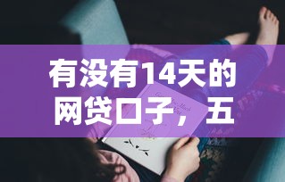 有沒有14天的網貸口子，五大2025最新貸款平臺代理